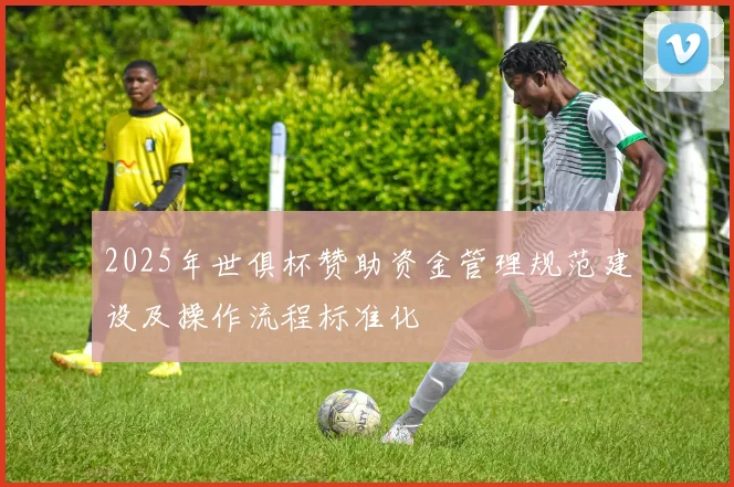 2025年世俱杯赞助资金管理规范建设及操作流程标准化