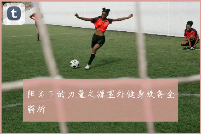 阳光下的力量之源室外健身设备全解析