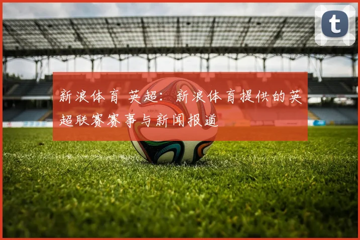 新浪体育 英超：新浪体育提供的英超联赛赛事与新闻报道