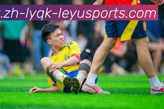 乐鱼体育品牌故事